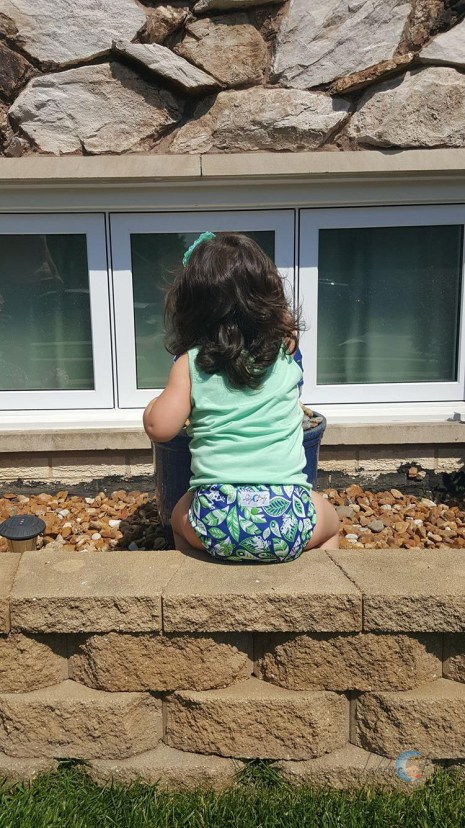 13275499_10101582510448371_706096969_o