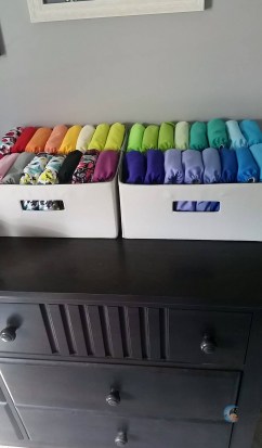 13288493_10102258292735394_302983542_o