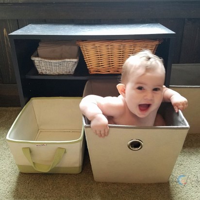 13288566_10207668831977595_1208738965_o