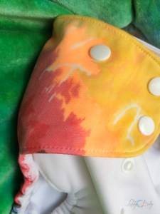 13819427_1365579050123998_774170219_n