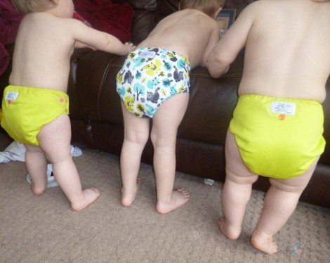 13662535_10210480555396734_1361892927_o