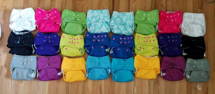 13681927_10208584531663502_327419130_o