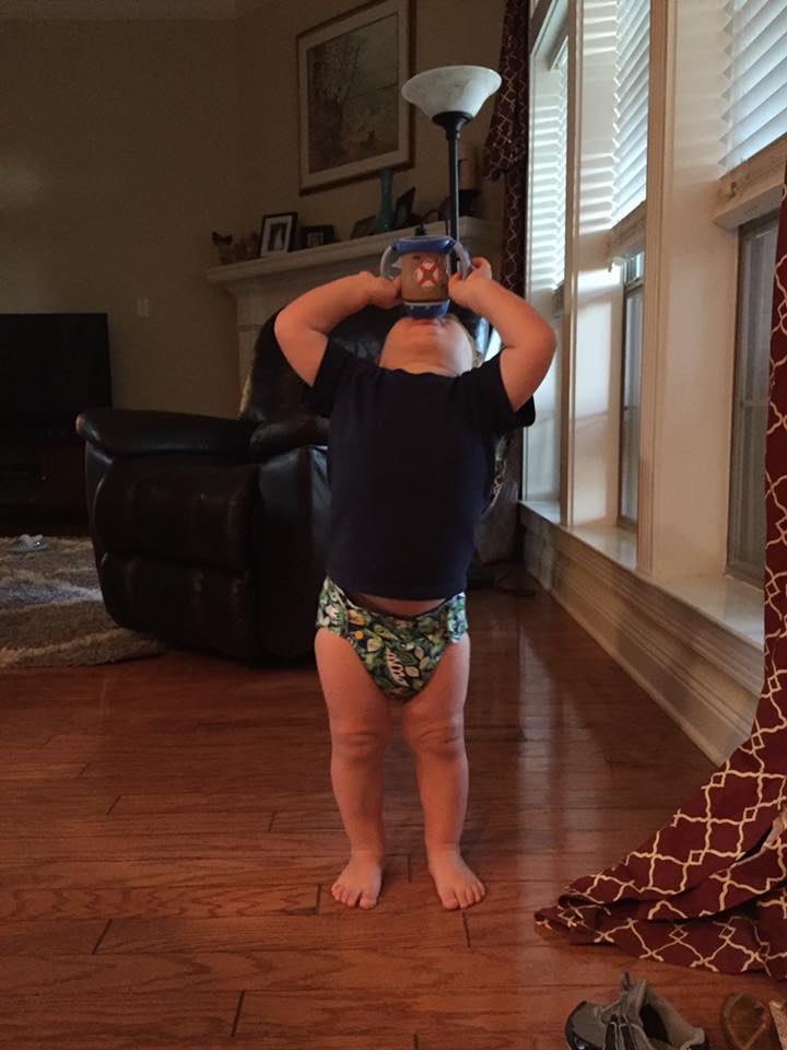 13775488_10154362009999154_7570033457469043914_n