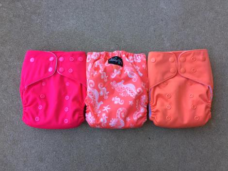 20451596_1720473441300443_3920746717706989382_o