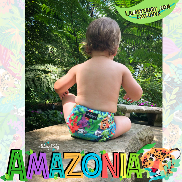 Copy of Amazonia IG
